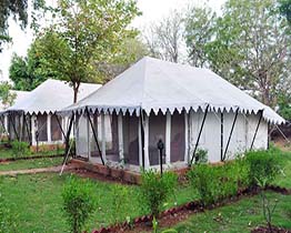 featured project